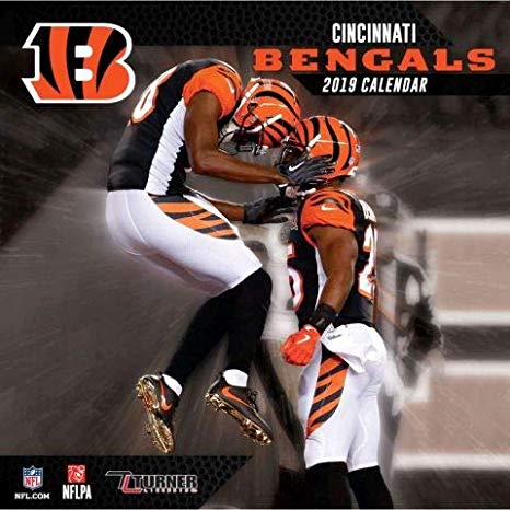 Cincinnati Bengals vs. Pittsburgh Steelers at Paul Brown Stadium