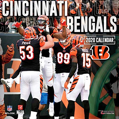 Cincinnati Bengals vs. Baltimore Ravens at Paul Brown Stadium