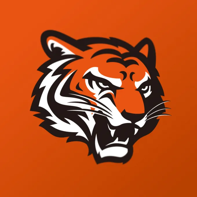 Cincinnati Bengals vs. Denver Broncos (Date: TBD)